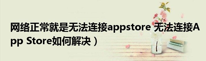 网络正常就是无法连接appstore 无法连接App Store如何解决)
