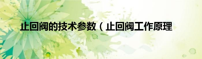 止回阀的技术参数(止回阀工作原理