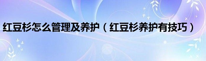 红豆杉怎么管理及养护(红豆杉养护有技巧)
