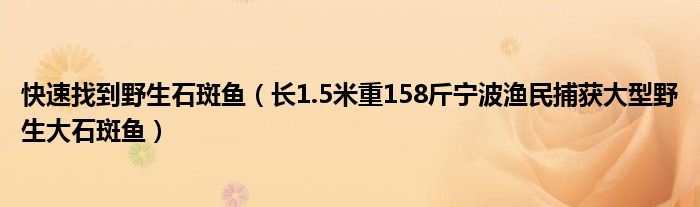 快速找到野生石斑鱼(长1.5米重158斤宁波渔民捕获大型野生大石斑鱼)