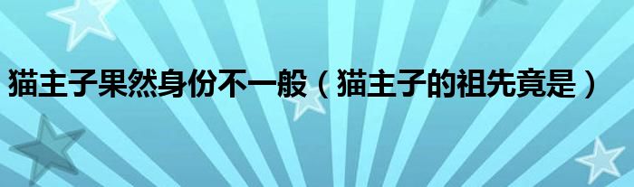 猫主子果然身份不一般(猫主子的祖先竟是)