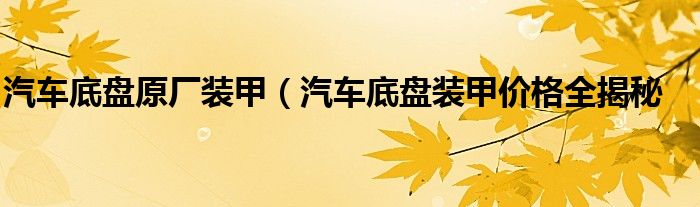 汽车底盘原厂装甲(汽车底盘装甲价格全揭秘