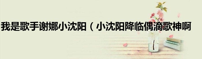 我是歌手谢娜小沈阳(小沈阳降临偶滴歌神啊