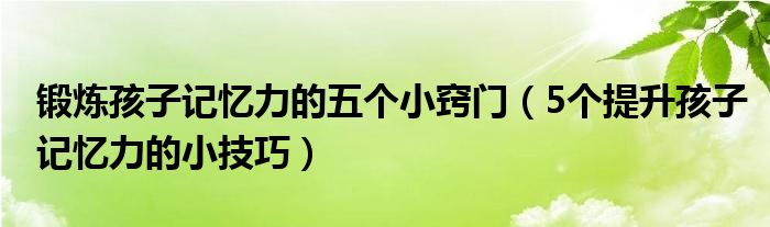 锻炼孩子记忆力的五个小窍门(5个提升孩子记忆力的小技巧)