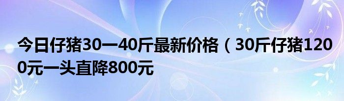 今日仔猪30一40斤最新价格(30斤仔猪1200元一头直降800元