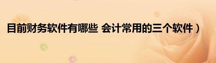 目前财务软件有哪些 会计常用的三个软件)