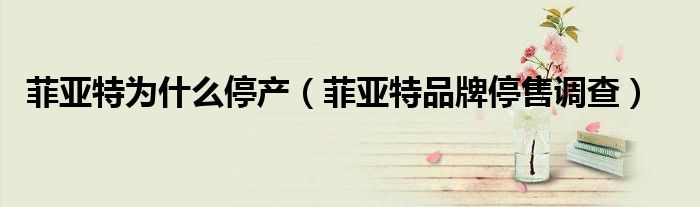 菲亚特为什么停产(菲亚特品牌停售调查)
