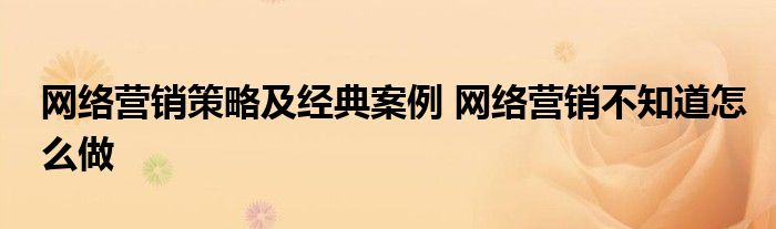 网络营销策略及经典案例 网络营销不知道怎么做