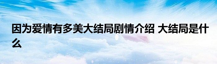 因为爱情有多美大结局剧情介绍 大结局是什么