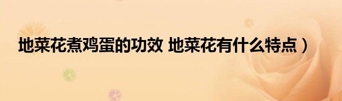 地菜花煮鸡蛋的功效 地菜花有什么特点)