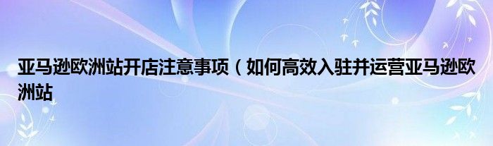 亚马逊欧洲站开店注意事项(如何高效入驻并运营亚马逊欧洲站