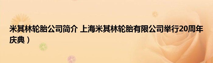 米其林轮胎公司简介 上海米其林轮胎有限公司举行20周年庆典)