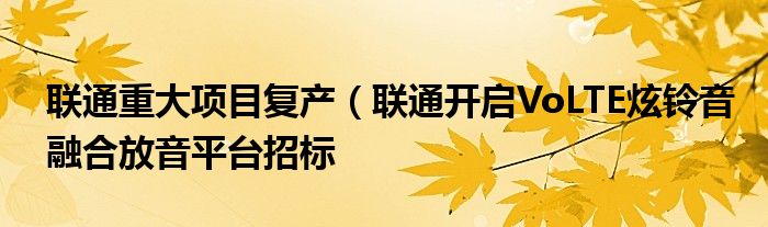 联通重大项目复产(联通开启VoLTE炫铃音融合放音平台招标