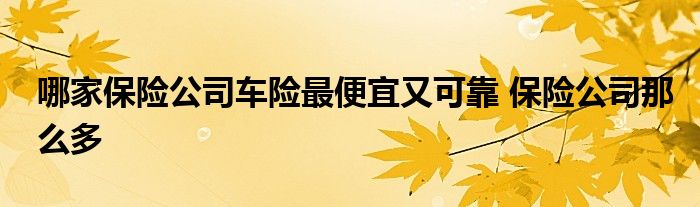 哪家保险公司车险最便宜又可靠 保险公司那么多