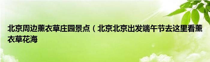 北京周边薰衣草庄园景点(北京北京出发端午节去这里看薰衣草花海