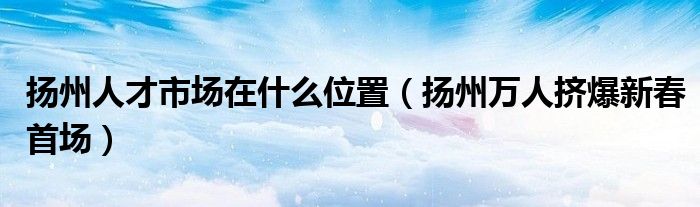 扬州人才市场在什么位置（扬州万人挤爆新春首场）