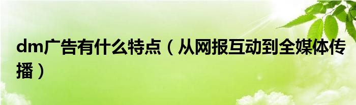 dm广告有什么特点(从网报互动到全媒体传播)