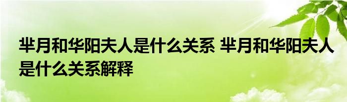 芈月和华阳夫人是什么关系 芈月和华阳夫人是什么关系解释