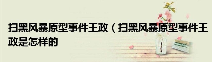 扫黑风暴原型事件王政(扫黑风暴原型事件王政是怎样的