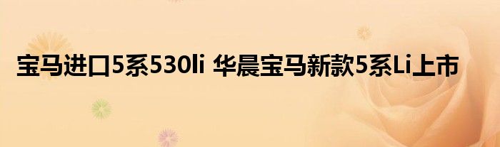 宝马进口5系530li 华晨宝马新款5系Li上市