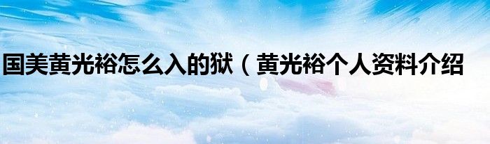 国美黄光裕怎么入的狱(黄光裕个人资料介绍