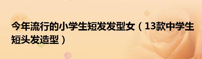 今年流行的小学生短发发型女(13款中学生短头发造型)