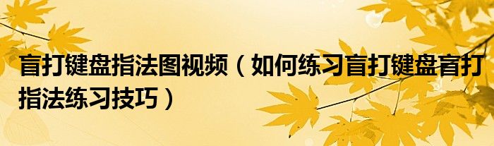 盲打键盘指法图视频(如何练习盲打键盘盲打指法练习技巧)