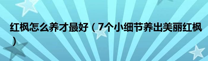 红枫怎么养才最好(7个小细节养出美丽红枫)