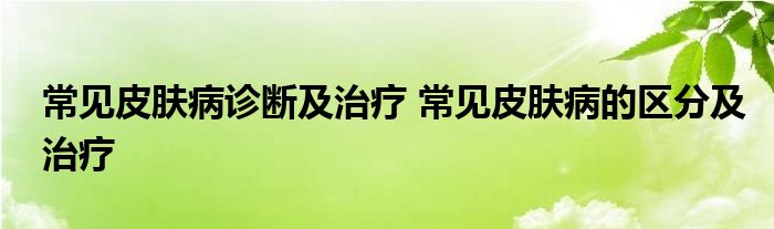 常见皮肤病诊断及治疗 常见皮肤病的区分及治疗