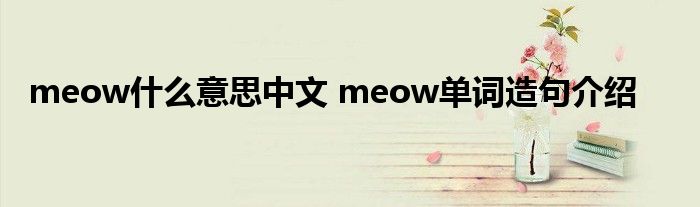 meow什么意思中文 meow单词造句介绍