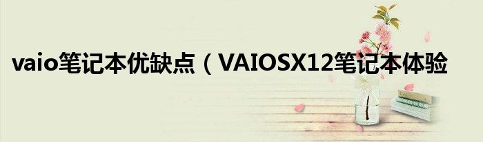 vaio笔记本优缺点(VAIOSX12笔记本体验
