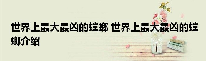 世界上最大最凶的螳螂 世界上最大最凶的螳螂介绍