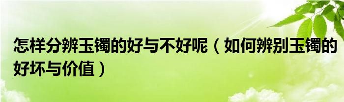 怎样分辨玉镯的好与不好呢(如何辨别玉镯的好坏与价值)