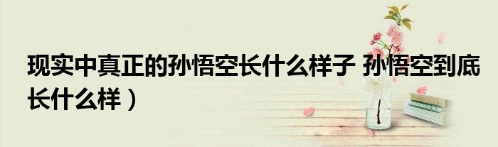现实中真正的孙悟空长什么样子 孙悟空到底长什么样)