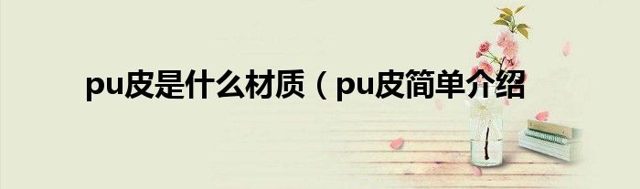 pu皮是什么材质(pu皮简单介绍