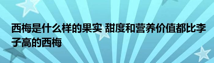 西梅是什么样的果实 甜度和营养价值都比李子高的西梅