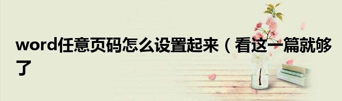 word任意页码怎么设置起来（看这一篇就够了