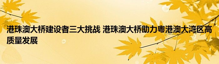 港珠澳大桥建设者三大挑战 港珠澳大桥助力粤港澳大湾区高质量发展
