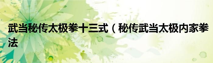 武当秘传太极拳十三式(秘传武当太极内家拳法