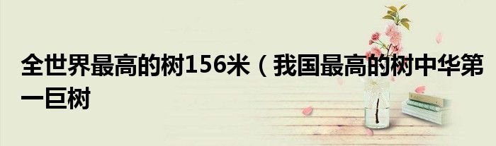 全世界最高的树156米(我国最高的树中华第一巨树