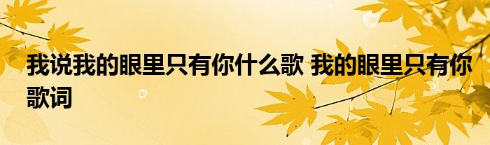 我说我的眼里只有你什么歌 我的眼里只有你歌词
