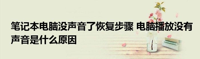 笔记本电脑没声音了恢复步骤 电脑播放没有声音是什么原因