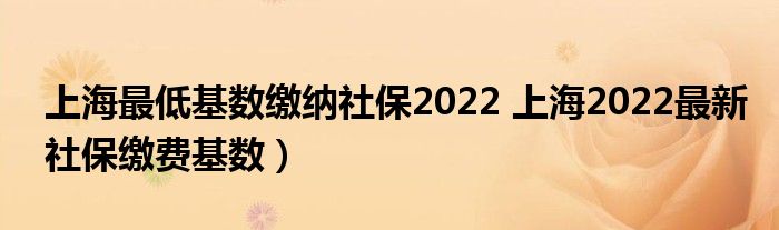 上海最低基数缴纳社保2022 上海2022最新社保缴费基数)