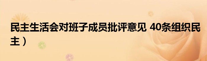 民主生活会对班子成员批评意见 40条组织民主)