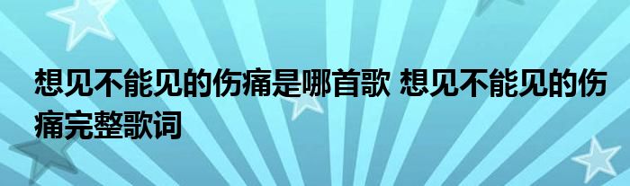 想见不能见的伤痛是哪首歌 想见不能见的伤痛完整歌词