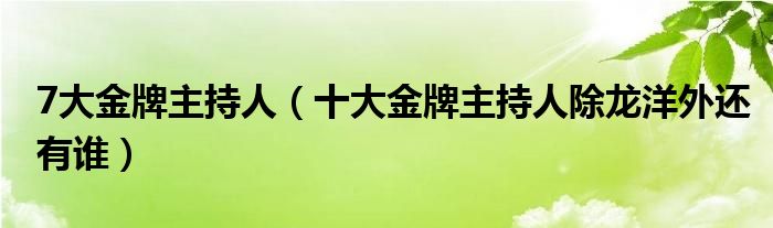 7大金牌主持人(十大金牌主持人除龙洋外还有谁)