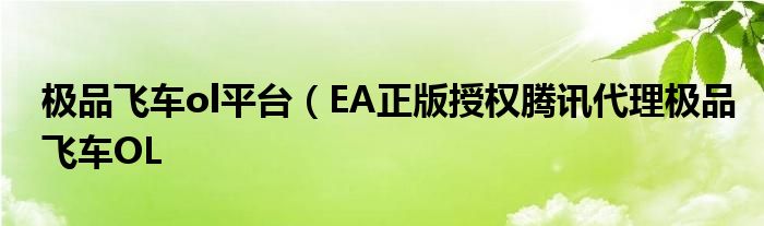 极品飞车ol平台(EA正版授权腾讯代理极品飞车OL