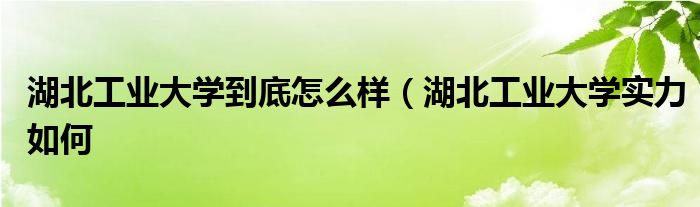 湖北工业大学到底怎么样(湖北工业大学实力如何