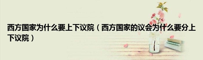 西方国家为什么要上下议院(西方国家的议会为什么要分上下议院)