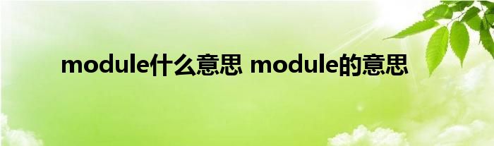 module什么意思 module的意思